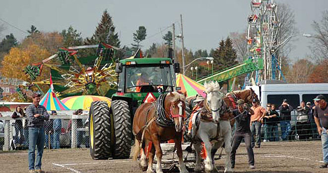 Agricultural Fairs